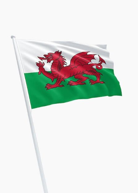 Vlag Wales - 150x225cm Spun-Poly